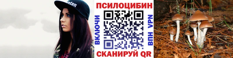 даркнет телеграм  как найти наркотики  Галич  Псилоцибиновые грибы Cubensis 