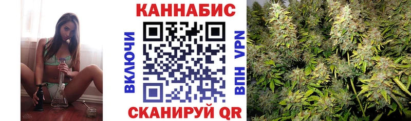 мориарти формула  Галич  Шишки марихуана ГИДРОПОН 